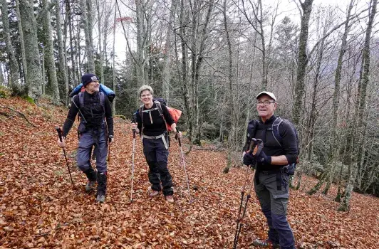 bois de Baysaou Rando65