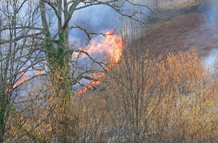 Ne pas s'approcher ! Rando65